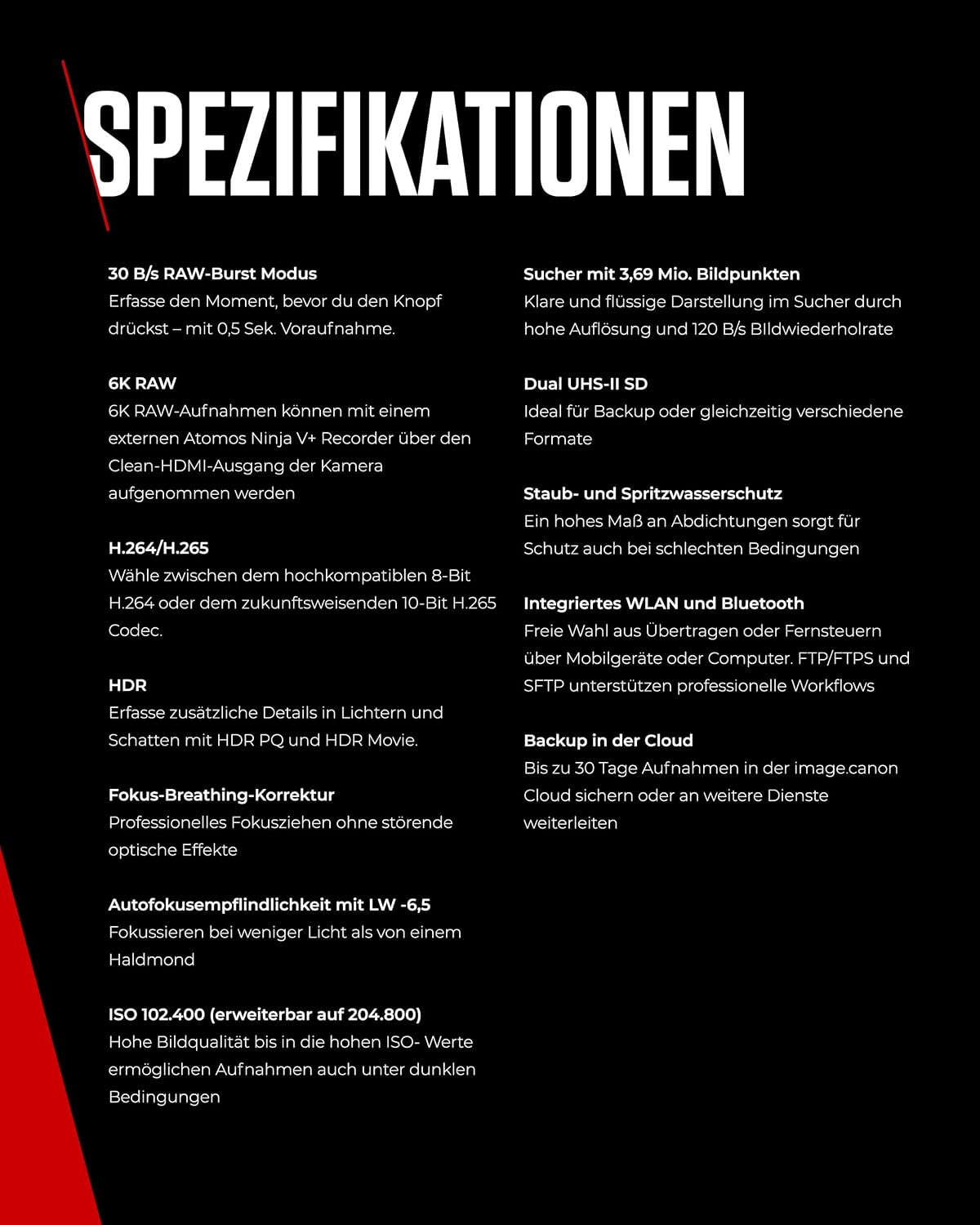 Canon EOS R6 Mark II Systemkamera 24,2 MP Vollformat Schwarz