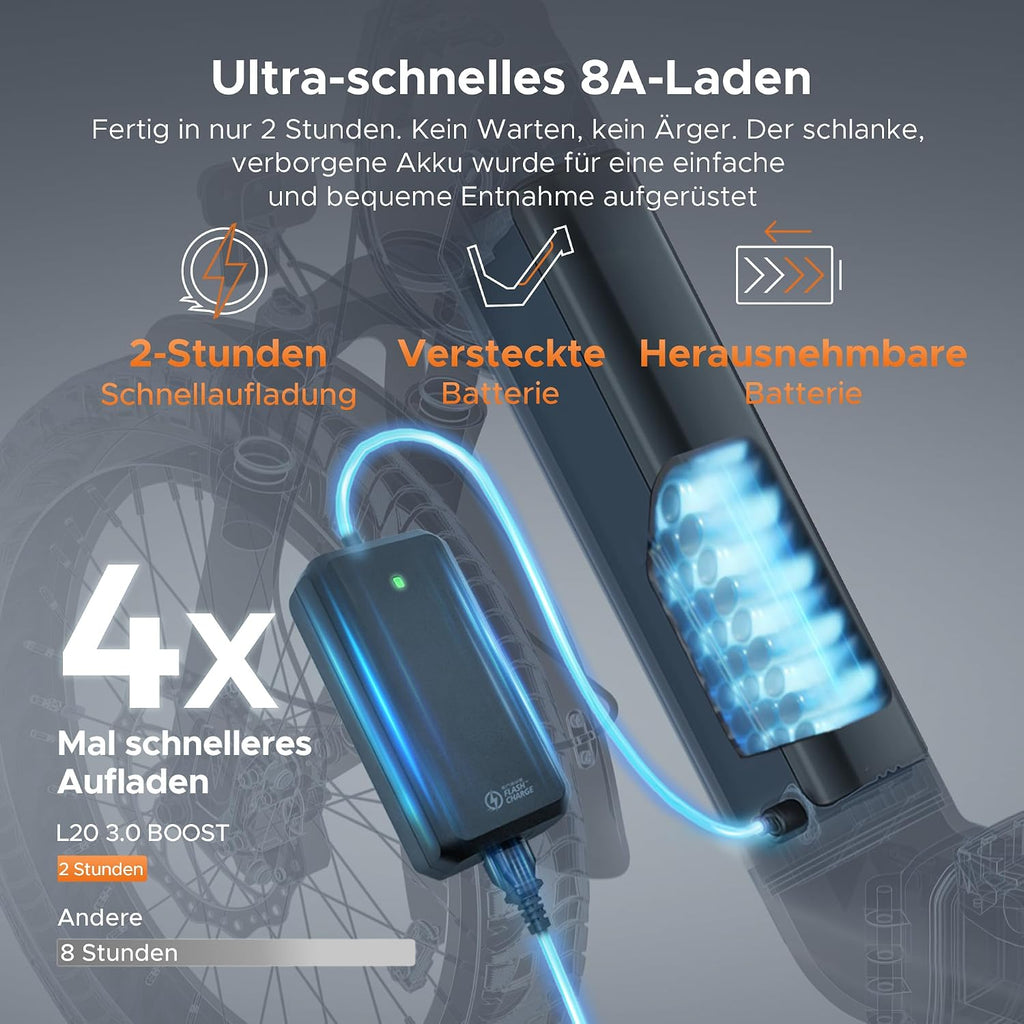 ENGWE L20 3.0 Boost E Bike 48V 13,5Ah 250W 20 Zoll Schwarz