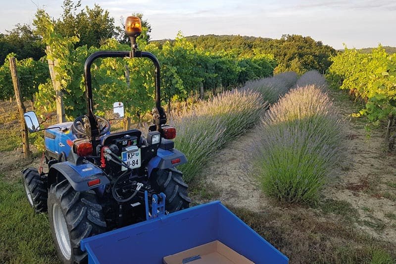Solis Kompakttraktor 26 mit Seitenschaltung Grundmaschine ohne Bereifung
