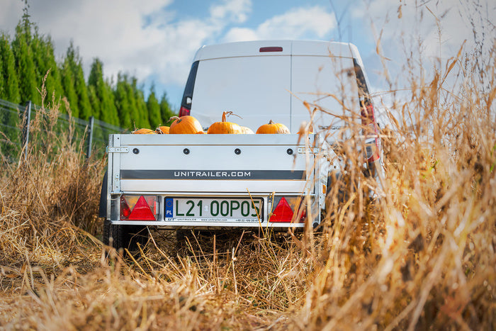 Kleiner Anhänger Garden Trailer 150 KIPP 150×106 cm 750kg-Neu